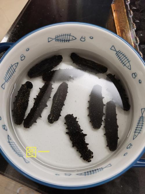 干海参贮存方法(存放海参的步骤)