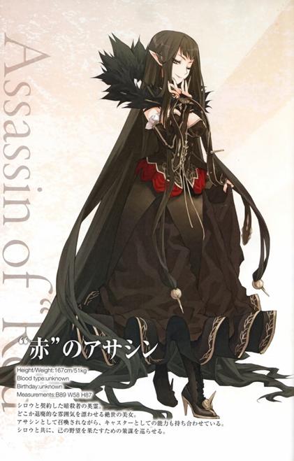 fateapocrypha对战最强英雄(Apocrypha历史人物最全介绍)(10)