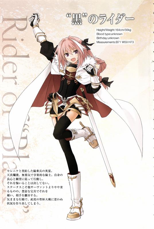 fateapocrypha对战最强英雄(Apocrypha历史人物最全介绍)(14)