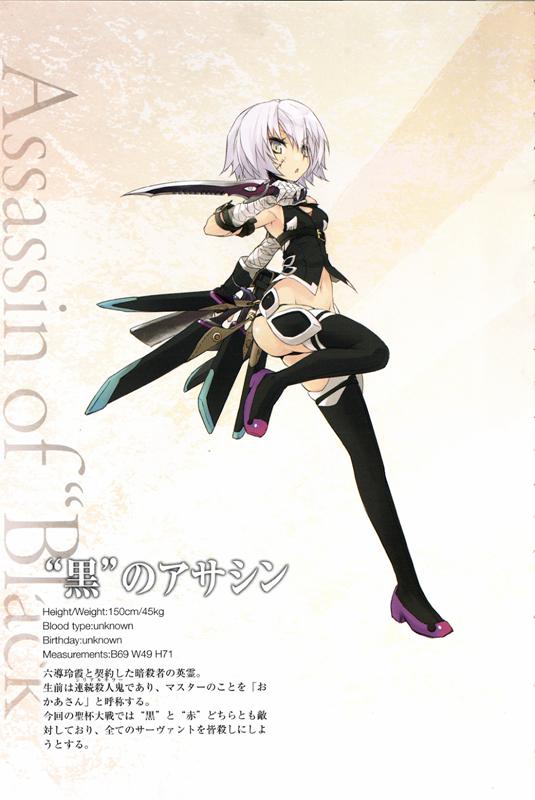 fateapocrypha对战最强英雄(Apocrypha历史人物最全介绍)(17)