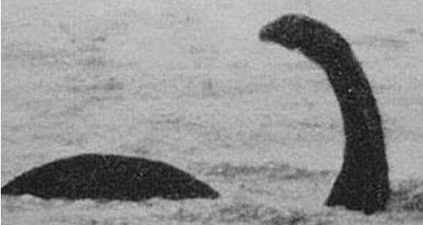 世界十洪流怪排行榜,尼斯湖水怪之谜究竟竟是大象假装