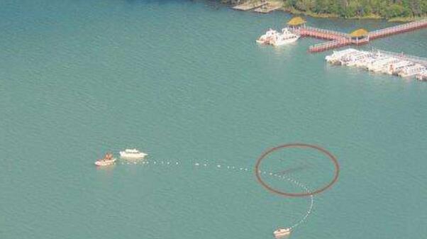 世界十洪流怪排行榜,尼斯湖水怪之谜究竟竟是大象假装