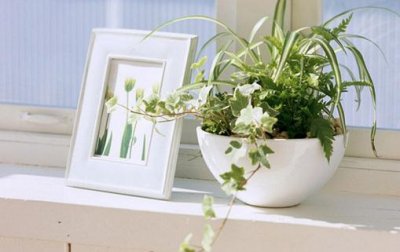 ​家里总是有灰尘怎么办？