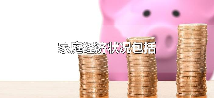 家庭经济状况包括