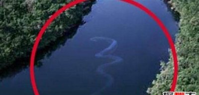 ​1995年安徽巨蟒渡劫事变，蟒蛇精化龙波折被雷劈死