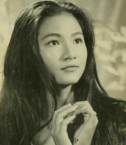 郑佩佩演过的电视剧有哪些（郑佩佩出演舞台剧）(5)