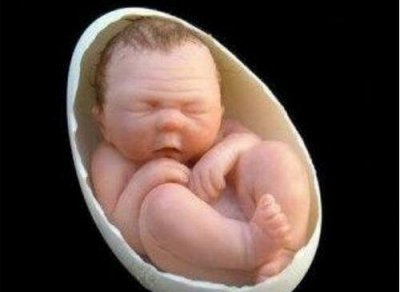 ​卵新人之谜，由蛋孵化成本始人_怀胎6个月生蛋3个月孵化