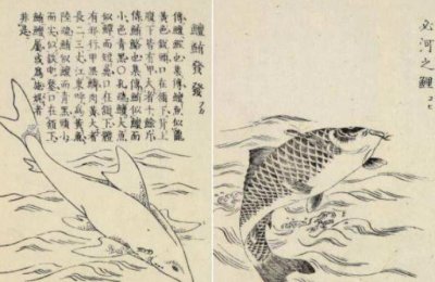 ​山海经是谁写的 西方学者提出没有是中国人