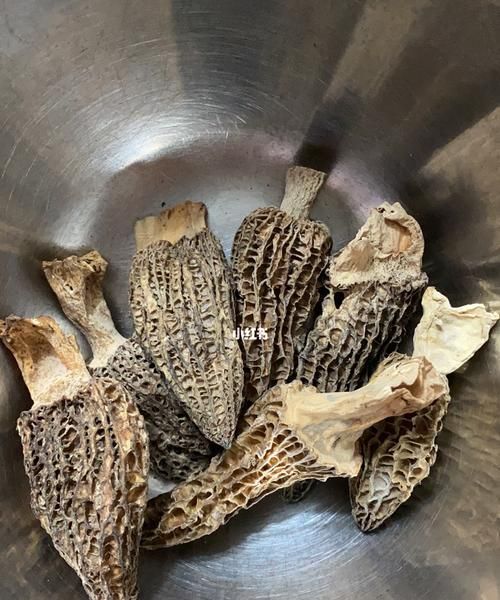 羊肚菌种下去没几天有白色的是什么