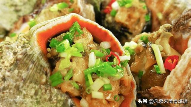 怎么吃海螺最正确的方法（大海螺的正确吃法）(10)