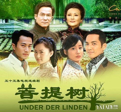 菩提树下电视剧大结局（厚朴和静心在一起）