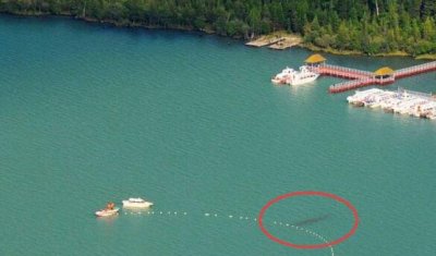 ​新疆喀纳斯湖水怪究竟之谜，乃长达10米的巨型哲罗鲑