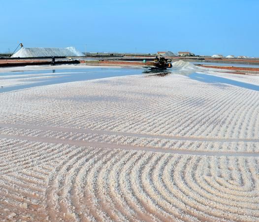 我国著名盐场均在黄河以北其中长芦盐场是最大盐场