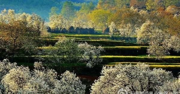 鹤庆县美食，还有和《新疆味道》类似的美食纪录片吗？图13