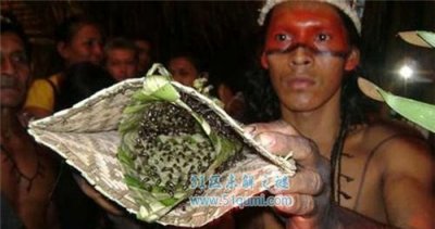 ​本始部降的奇葩风尚 印尼割礼典礼最残酷