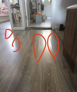 ​地板进水了几天会鼓起,地板被水泡了多久会鼓起来图片