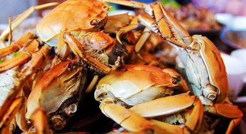 活螃蟹可以冷冻,活螃蟹可以放在冰冻里面保存吗图2