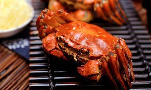 活螃蟹可以冷冻,活螃蟹可以放在冰冻里面保存吗图6