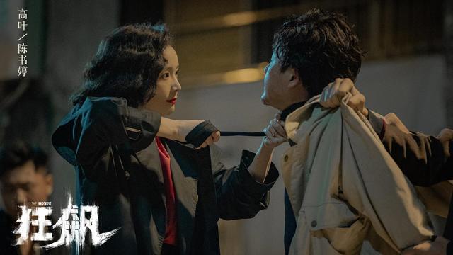 狂飙高启强哭陈书婷死亡在哪一集（狂飙今晚大结局）(49)