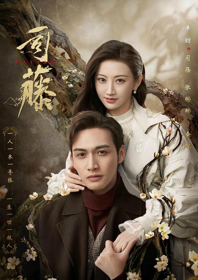 司藤最后两个结局没看懂（司藤大结局意难平）(23)