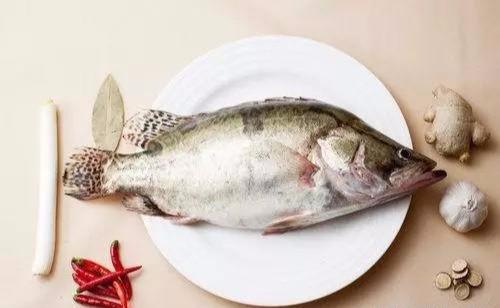 在什么情况下不能吃鱼(三种人真的不能)(1)