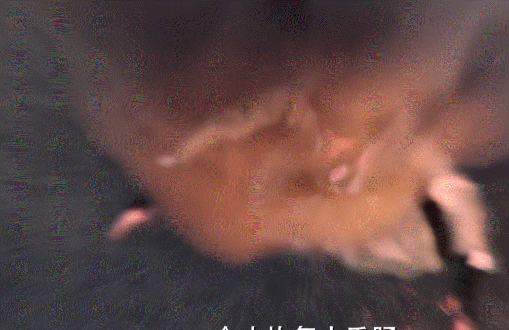 导演对斗罗大陆的评价(剧版斗罗大陆接受批评)(4)