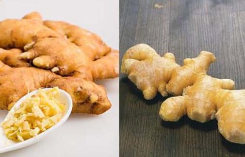 脱发的偏方秘方(脱发偏方大盘点)(3)