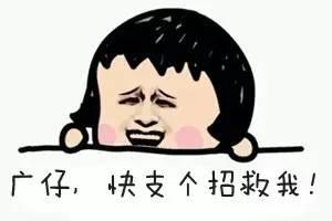 怎么防治白蚁最有效的方法(涨姿势白蚁肆虐如何消灭)(2)