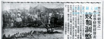 ​营口坠龙事变 央视记录片遭置疑