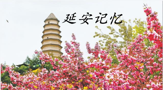 延安历史回顾(延安往事6月18日)(1)