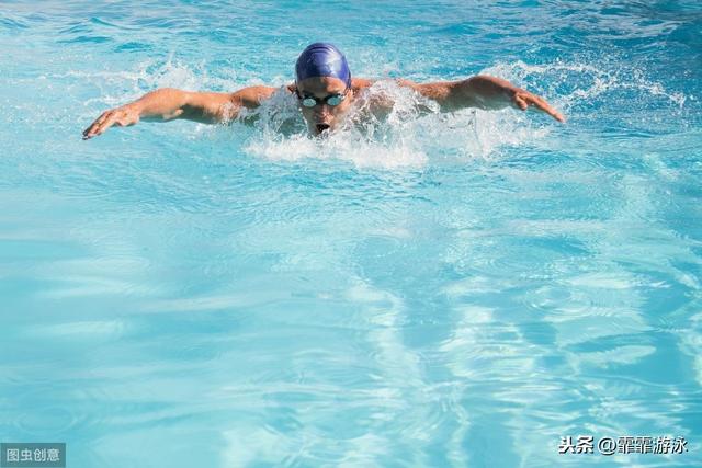 怎么才能学会蝶泳的正确游泳姿势（让你像蝴蝶一样飞起来）(3)