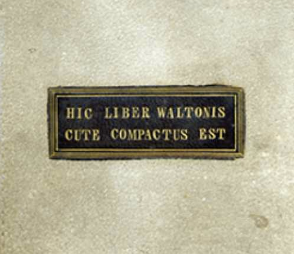 人的皮肤有什么效率?盘古人类皮肤十大怪僻用途