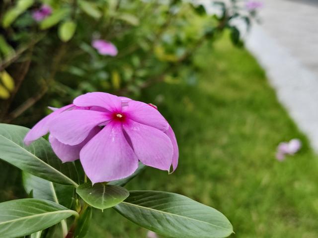 现在出来的5g手机是真5g吗（先看完5G新机对比再说）(16)