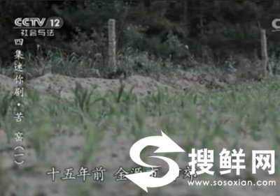 ​cctv12社会与法普法栏目剧苦窑第一、二、三、四全集大结局剧情