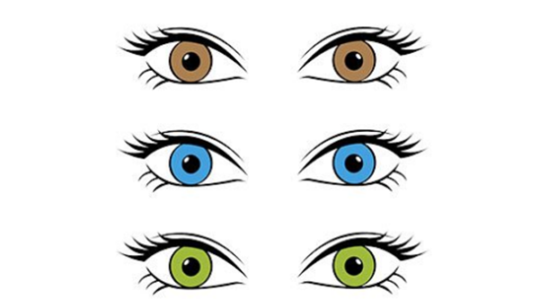 科学试验吓死人?履历上十大最残酷的科学试验