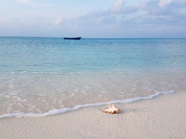 美丽迷人的西沙群岛（初见惊艳不见）(10)