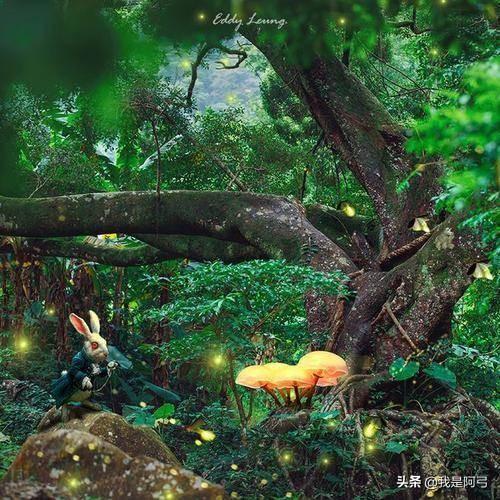 爱丽丝梦游仙境镜中奇遇记故事(爱丽丝梦游仙境)(5)