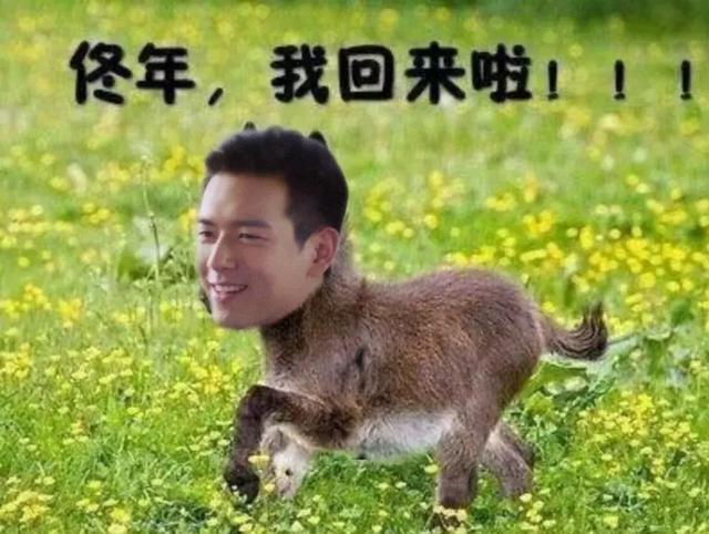 追剧必备的50种零食(这6款巨巨巨好吃的零食)(3)