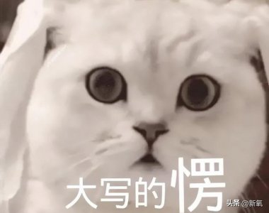 ​旺旺集团二公子蔡旺家微博（身家510亿的旺旺家二公子）