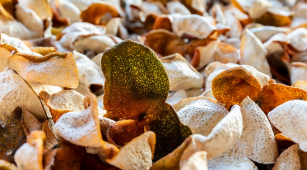 桔皮怎么做成陈皮,如何把桔子皮做成陈皮图4