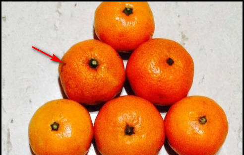 桔皮怎么做成陈皮,如何把桔子皮做成陈皮图16