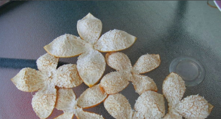 桔皮怎么做成陈皮,如何把桔子皮做成陈皮图8