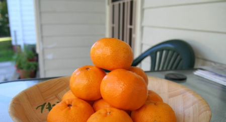 桔皮怎么做成陈皮,如何把桔子皮做成陈皮图7