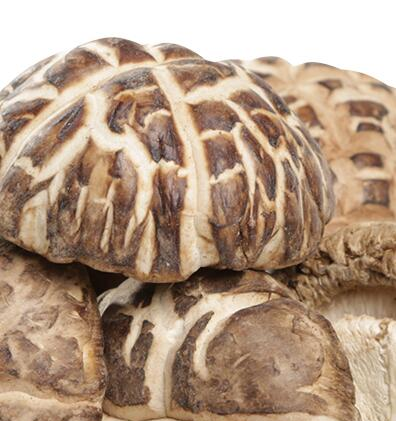 香菇要怎么清洗才干净,香菇怎么洗干净图1