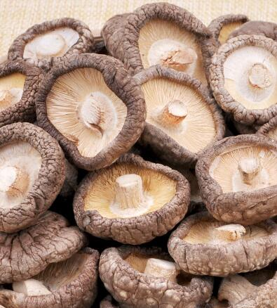 香菇要怎么清洗才干净,香菇怎么洗干净图2