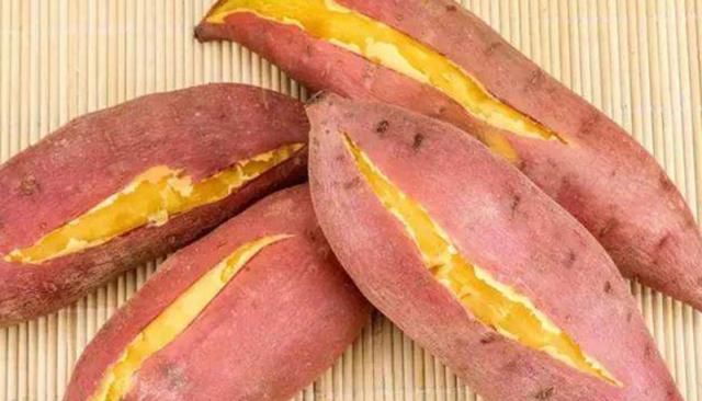 地瓜品种，地瓜新品种有哪些？图4