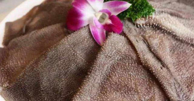 毛肚如何做脆嫩爽口（一学就会的毛肚做法）(4)