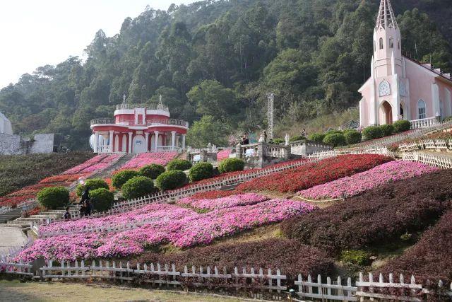 广佛游玩攻略大全(广佛游玩攻略到了佛山影视城)(46)