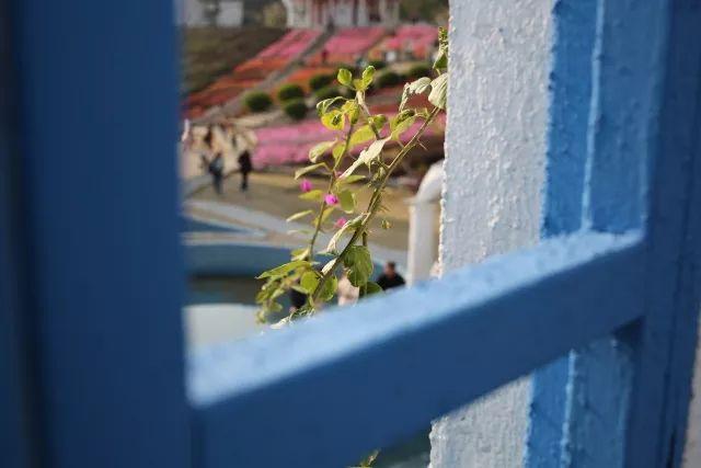 广佛游玩攻略大全(广佛游玩攻略到了佛山影视城)(50)