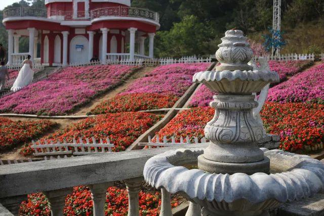 广佛游玩攻略大全(广佛游玩攻略到了佛山影视城)(47)